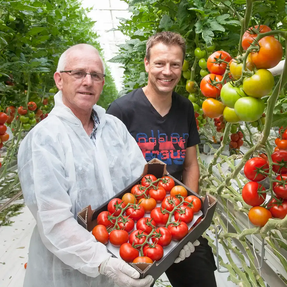 Fotostory über einen Betrieb für Gemüseanbau