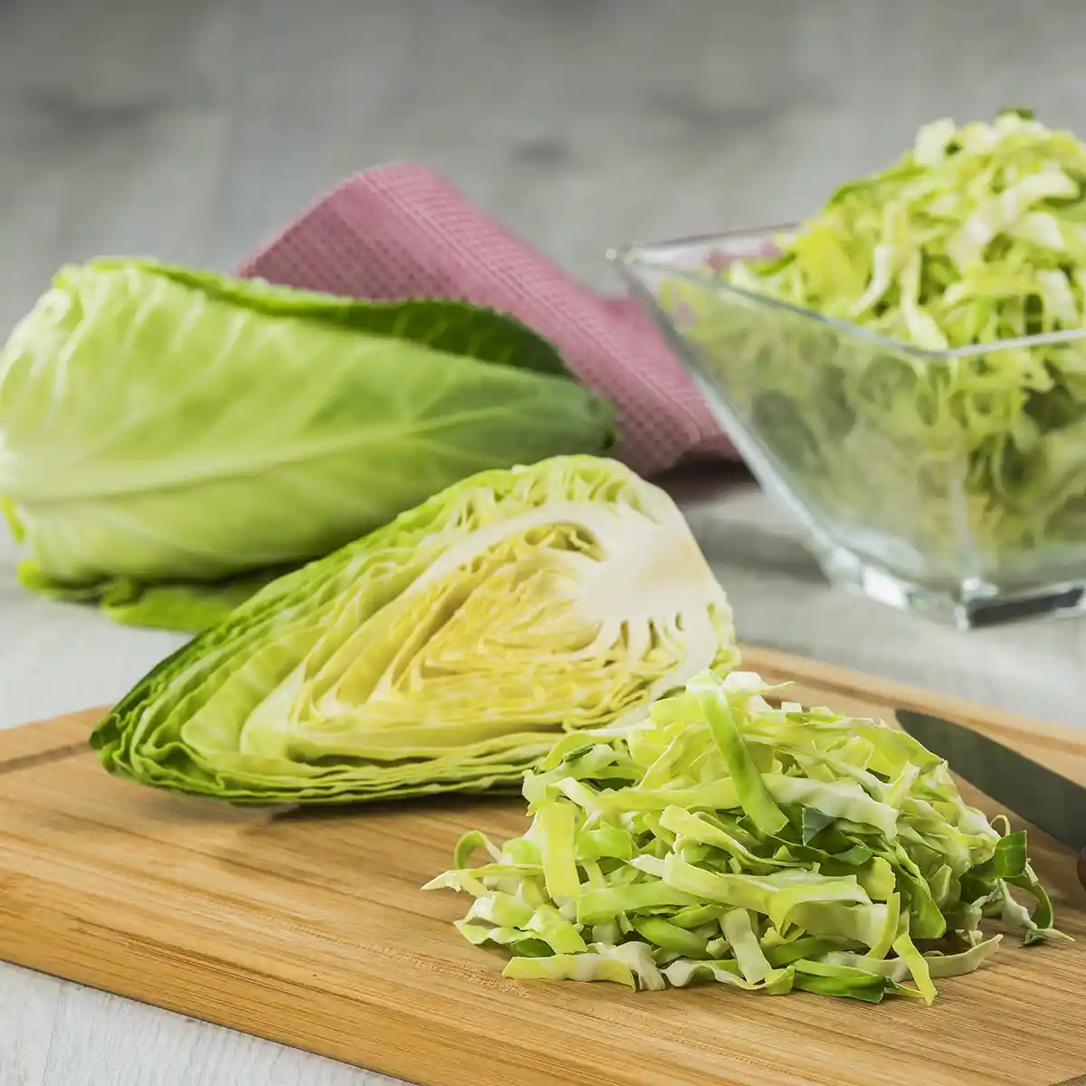 Studioaufnahmen / Stills von Spitzkohl